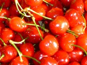 Ripe red cherries