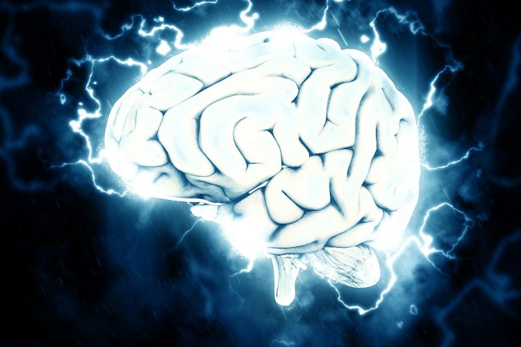 Understanding How Nootropics Work