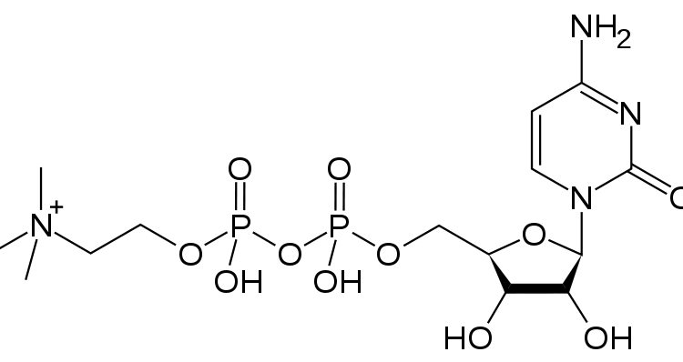 What is citicoline?